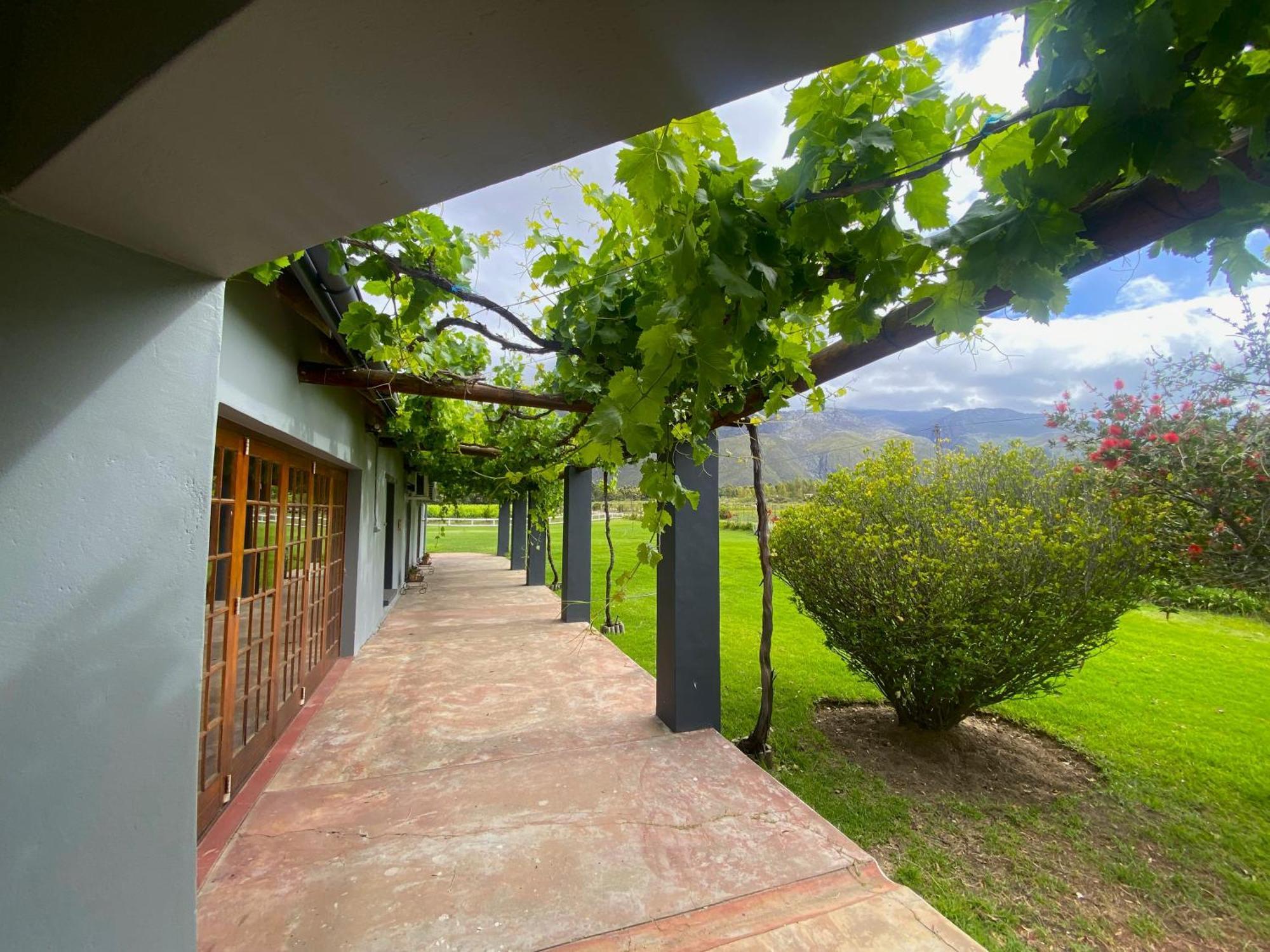 Oaksrest Vineyards Guest Farm Otel Ladismith Dış mekan fotoğraf